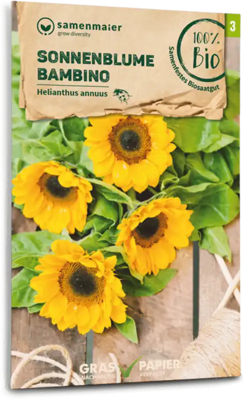 Fabrieksprijs - Samen Maier Biologische Zonnebloem "Bambino"