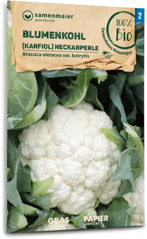 Nu beschikbaar | Samen Maier Biologische Bloemkool "Neckarperle"