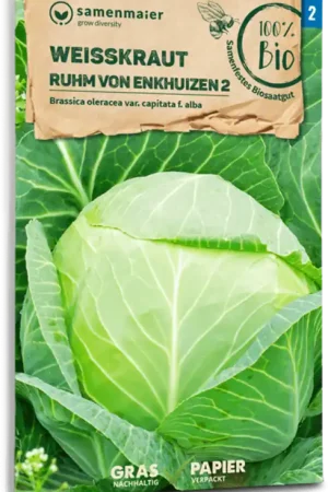 Nieuwe release - Samen Maier Biologische Witte Kool "Ruhm von Enkhuizen"