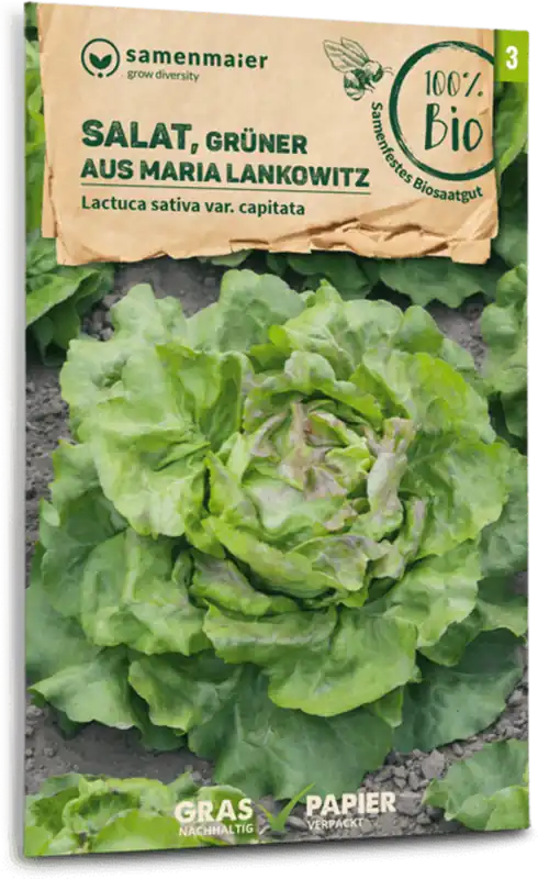 Superprijs - Samen Maier Biologische Sla "Grüner aus Maria Lankowitz"