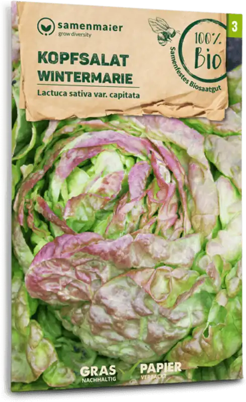 Bestseller | Samen Maier Biologische Kropsla "Wintermarie"