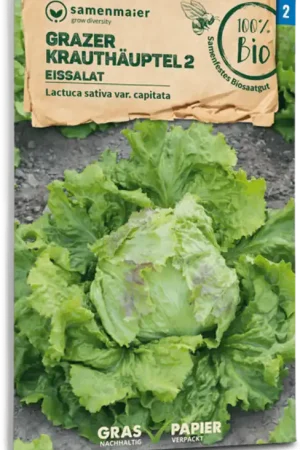 Beste prijs - Samen Maier Biologische IJsbergsla “Grazer Krauthäuptel 2”