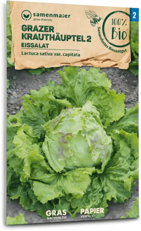 Beste prijs - Samen Maier Biologische IJsbergsla “Grazer Krauthäuptel 2”