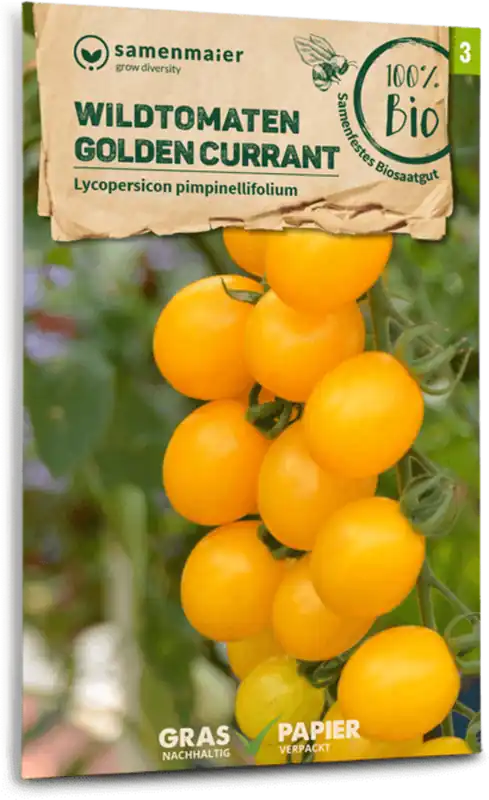 Actieprijs | Samen Maier Biologische Wilde Tomaten "Golden Currant"