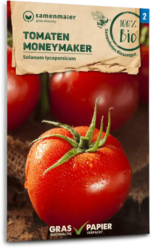 Samen Maier Biologische Tomaten "Moneymaker" - Online bestelbaar