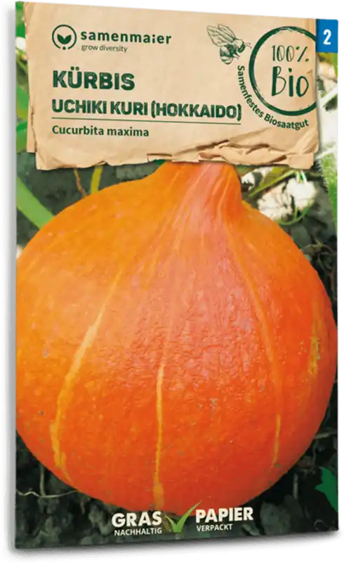 Samen Maier Biologische Uchiki Kuri Pompoen "Hokkaido" | Dagdeal