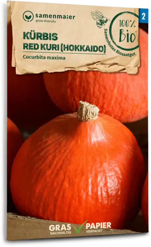 Samen Maier Biologische Pompoen, Reuzenpompoen, Red Kuri "Hokkaido" - Shop nu