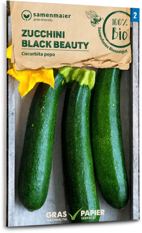 Samen Maier Biologische Courgette "Black Beauty" | Aanbieding