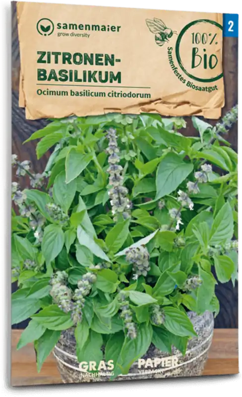 Samen Maier Biologische Citroenbasilicum - Rechtstreeks uit de fabriek
