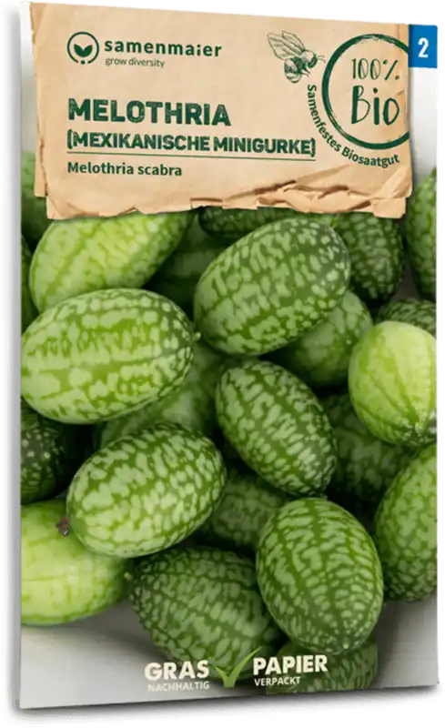 Samen Maier Biologische Mexicaanse Minikomkommers - Makkelijk bestellen