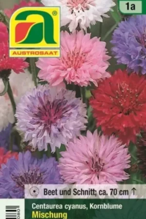 AUSTROSAAT Centaurea, Korenbloem Mix | Bestseller