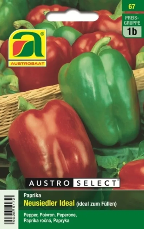 AUSTROSAAT Paprika Neusiedler Ideal - Actieprijs