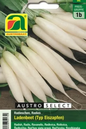 Alleen deze week | AUSTROSAAT Radijs Ladenbeet