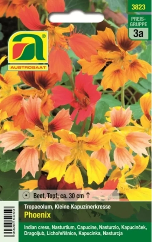 AUSTROSAAT Oostindische Kers Phoenix | Lage prijs