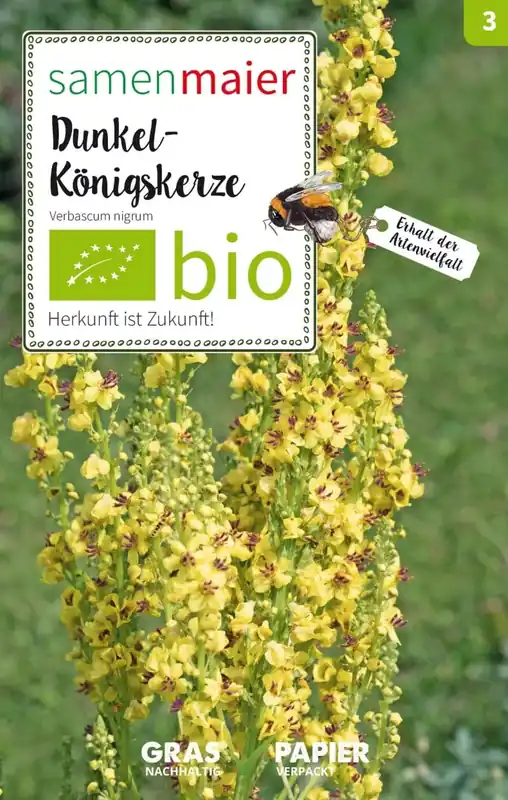 Samen Maier Biologische Wilde Bloemen - Zwarte Toorts - Voordelig