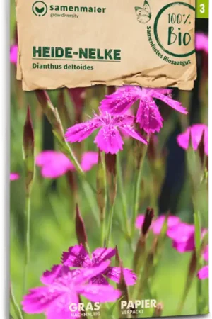 Samen Maier Biologische Wilde Bloemen Heide-Anjer - Net gelanceerd