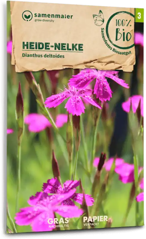 Samen Maier Biologische Wilde Bloemen Heide-Anjer - Net gelanceerd