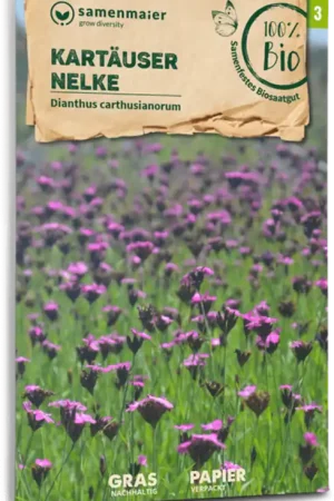 Trending | Samen Maier Biologische Wilde Bloemen - Kartuizer Anjer