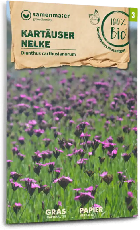 Trending | Samen Maier Biologische Wilde Bloemen - Kartuizer Anjer