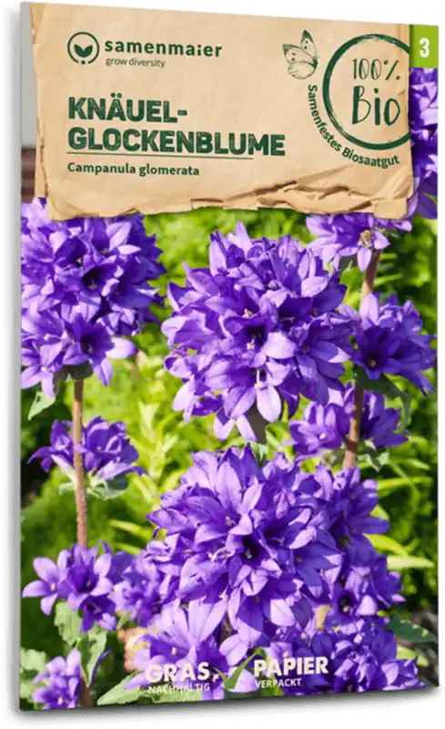 Samen Maier Biologische Wilde Bloem Klokjesbloem - Beste prijs