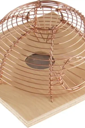 Keim Diervriendelijke Mand Muizenval - 2 Ingangen | Erg populair