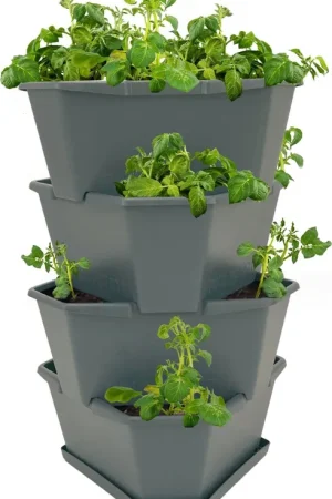 GUSTA GARDEN PAUL POTATO Starter, 4 Etages, groen - Beste prijs