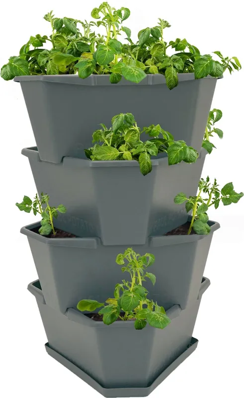 GUSTA GARDEN PAUL POTATO Starter, 4 Etages, groen - Beste prijs