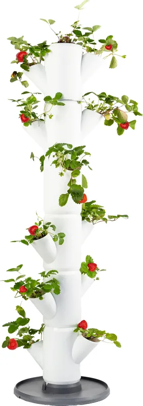 Goed beoordeeld - GUSTA GARDEN SISSI STRAWBERRY Classic Aardbeientoren, wit