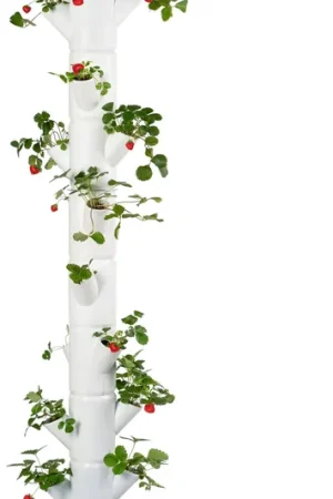 Fabrieksprijs | GUSTA GARDEN SISSI STRAWBERRY Infinity Aardbeientoren, antraciet