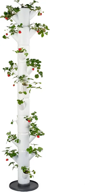 Fabrieksprijs | GUSTA GARDEN SISSI STRAWBERRY Infinity Aardbeientoren, antraciet