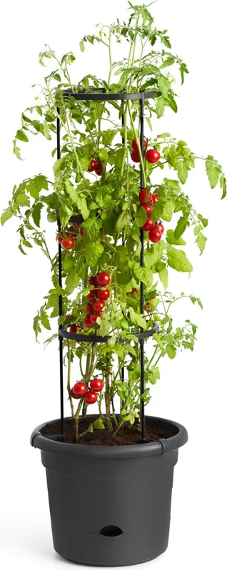 Spoedlevering | elho green basics tomaten pot 33cm, living black