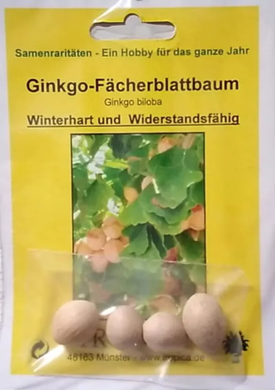 Outlet - TROPICA Ginkgo