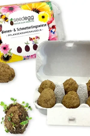 Feel Green Bijen- & Vlinderweide Seedegg, 6 stuks | Goed beoordeeld