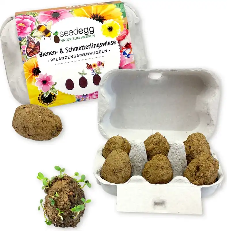 Feel Green Bijen- & Vlinderweide Seedegg, 6 stuks | Goed beoordeeld