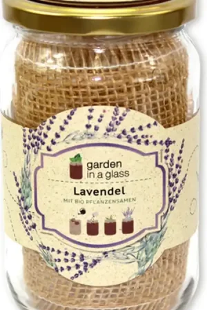 Direct beschikbaar | Feel Green Garden in a glass Lavendel