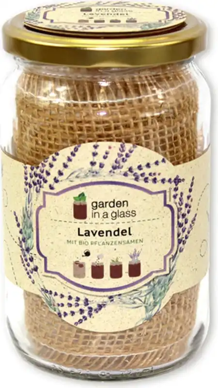 Direct beschikbaar | Feel Green Garden in a glass Lavendel