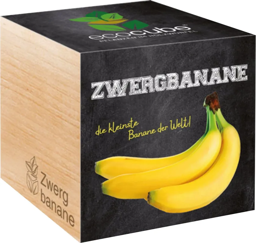 Feel Green ecocube Dwergbanaan - Alleen deze week