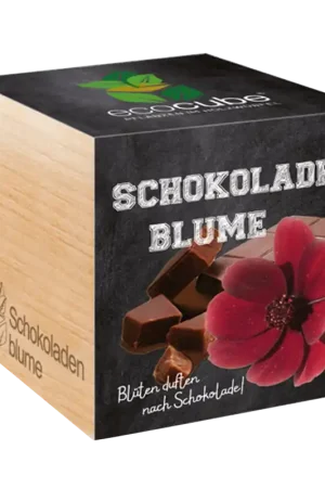 Feel Green ecocube Chocolademargriet - Aanbieding