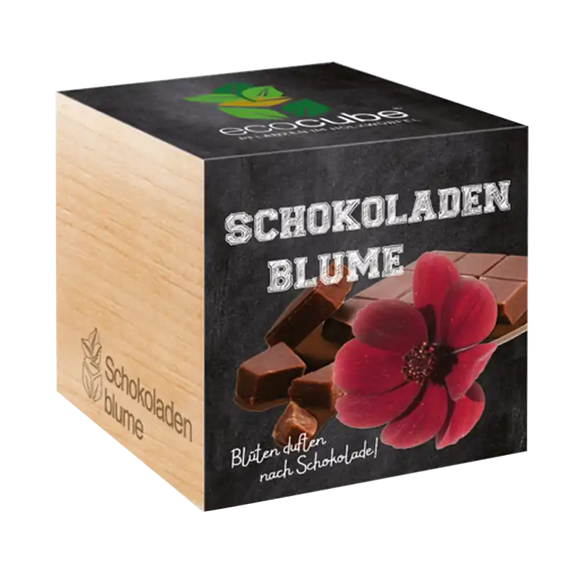 Feel Green ecocube Chocolademargriet - Aanbieding