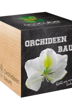 Extra korting - Feel Green ecocube Orchideeënboom
