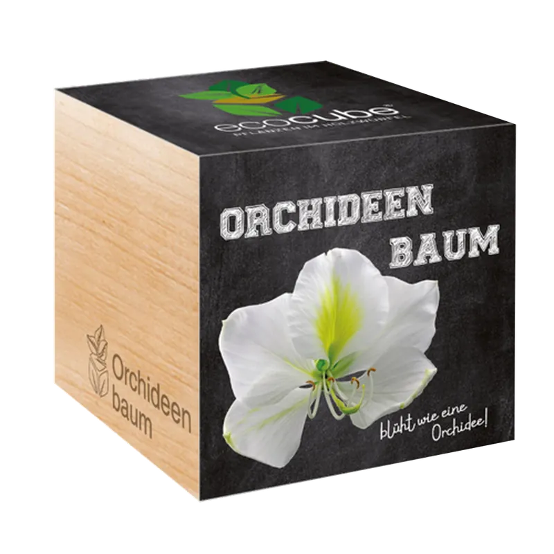 Extra korting - Feel Green ecocube Orchideeënboom