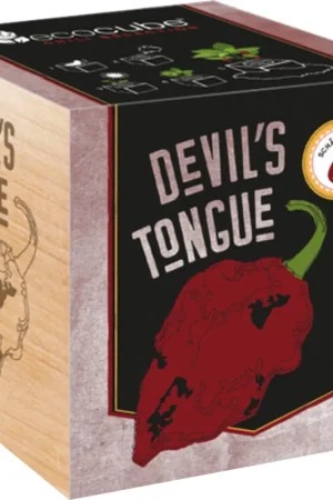 Direct leverbaar | Feel Green ecocube Devils Tongue