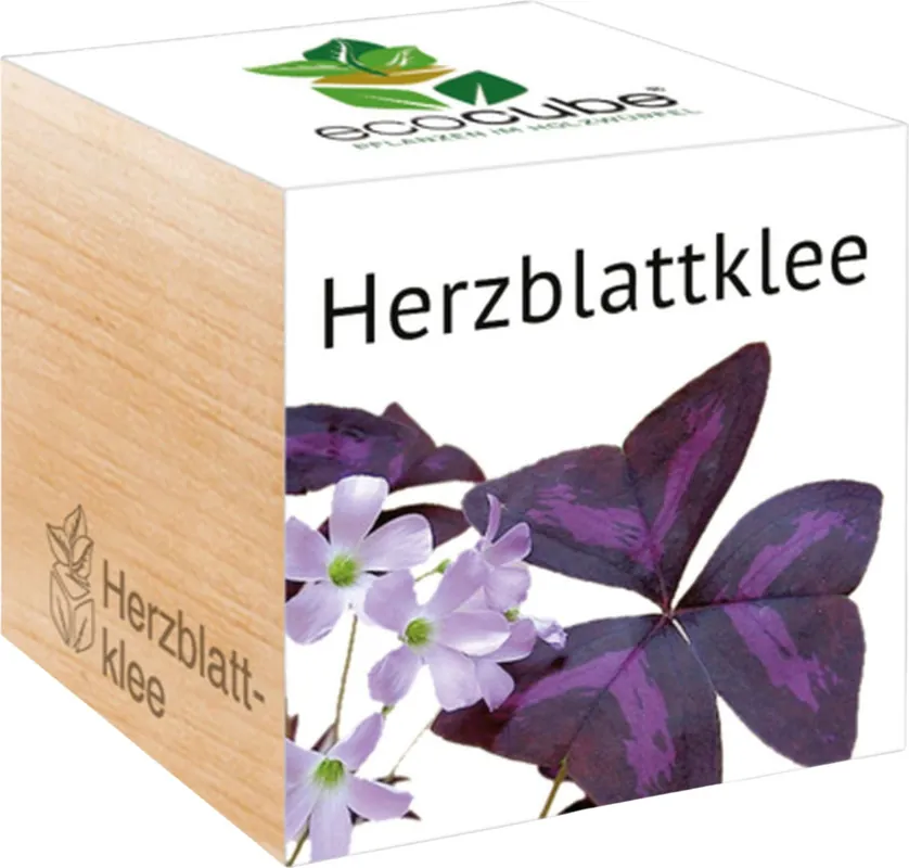 Feel Green ecocube Geluksklaver - Slechts tijdelijk