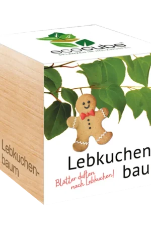 Feel Green ecocube Katsuraboom - Online bestelbaar