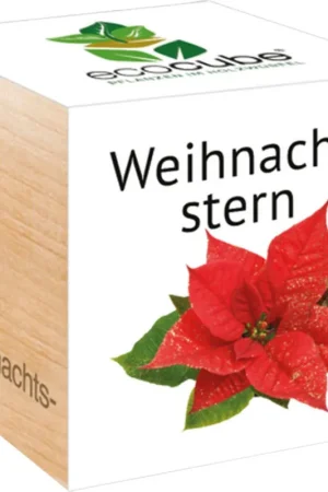 Feel Green ecocube Kerstster | Klaar voor verzending