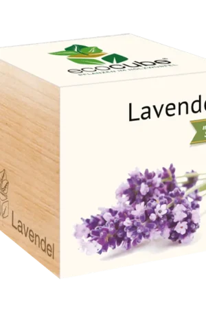 Feel Green ecocube Lavendel - Net binnen