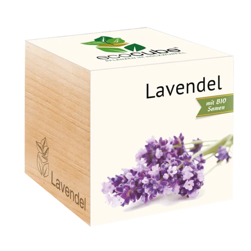 Feel Green ecocube Lavendel - Net binnen