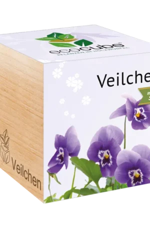 Feel Green ecocube Viooltjes | Extra korting