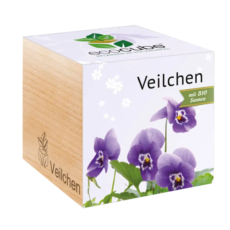 Feel Green ecocube Viooltjes | Extra korting