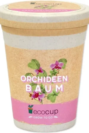 Feel Green ecocup Orchideeënboom - Bestelbaar